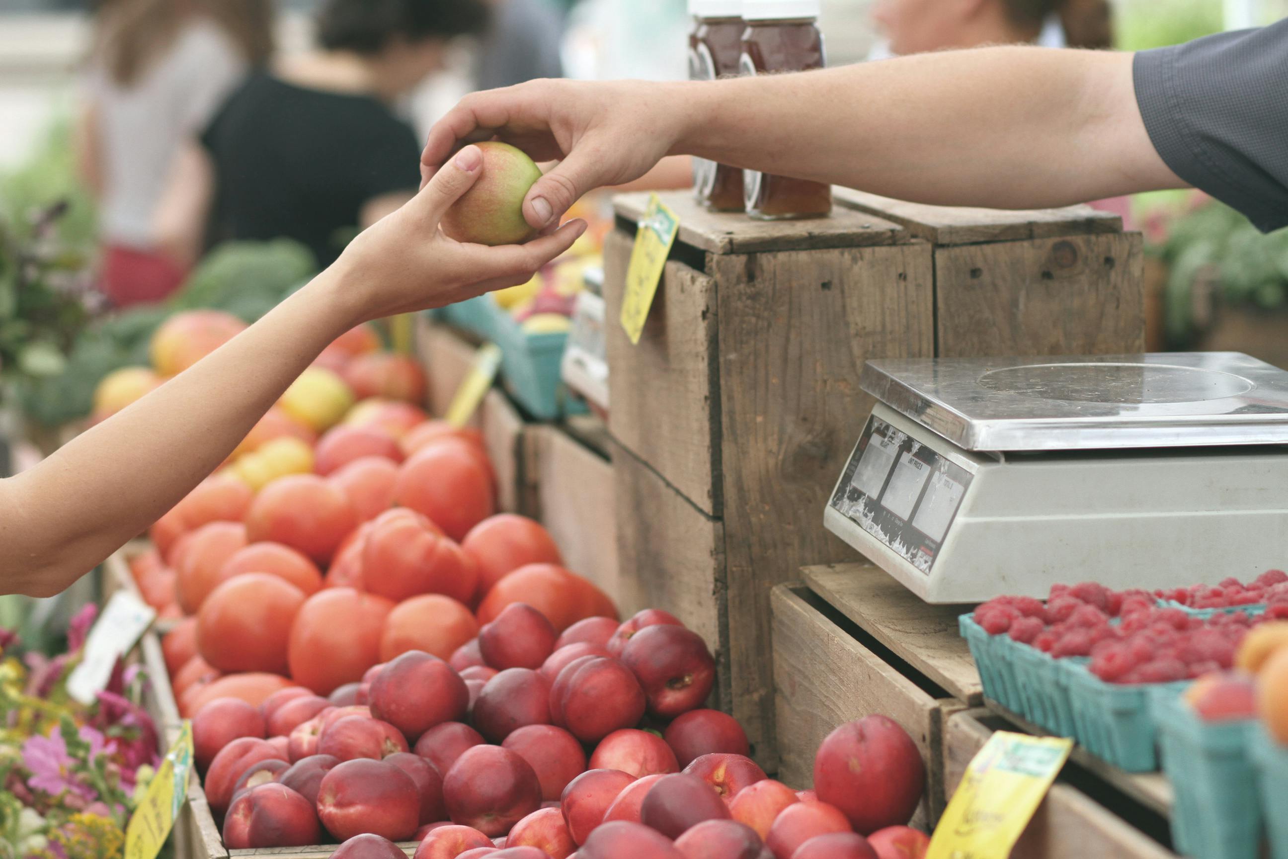 Celebrate Summer at Local Farmers Markets Near Rowen at The Pinehills image