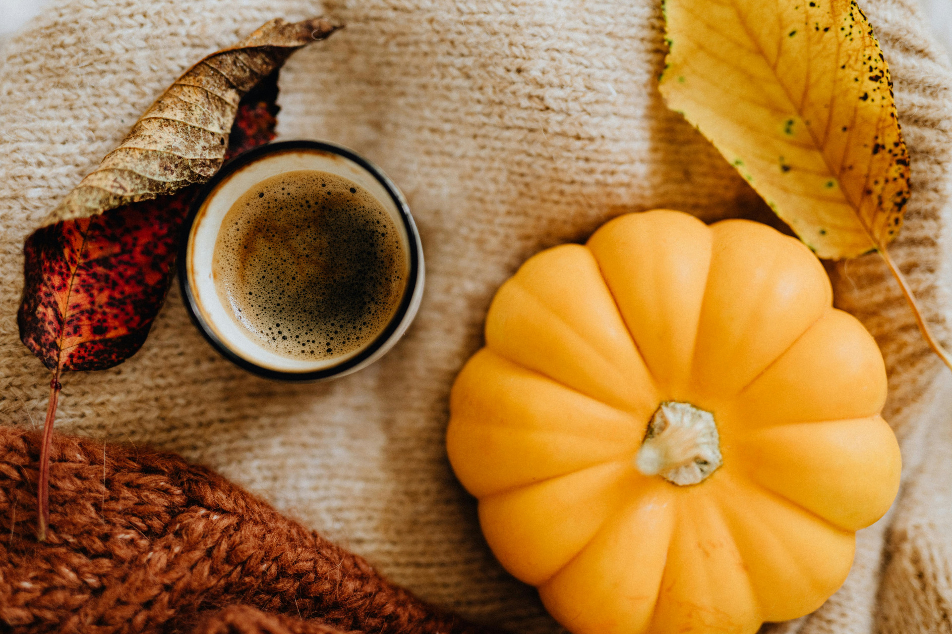 Seasonal Dining and Harvest Events Near Rowen at The Pinehills image