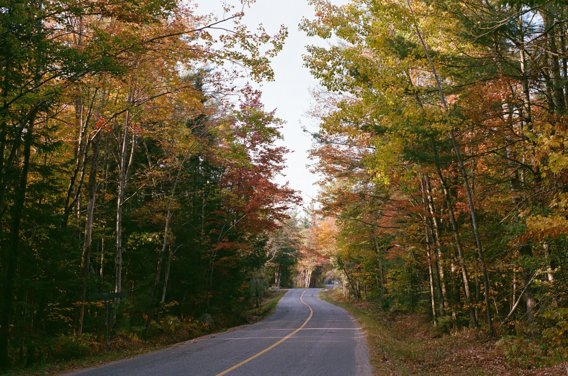 Fall Foliage and Scenic Walks Near Rowen at the Pinehills image